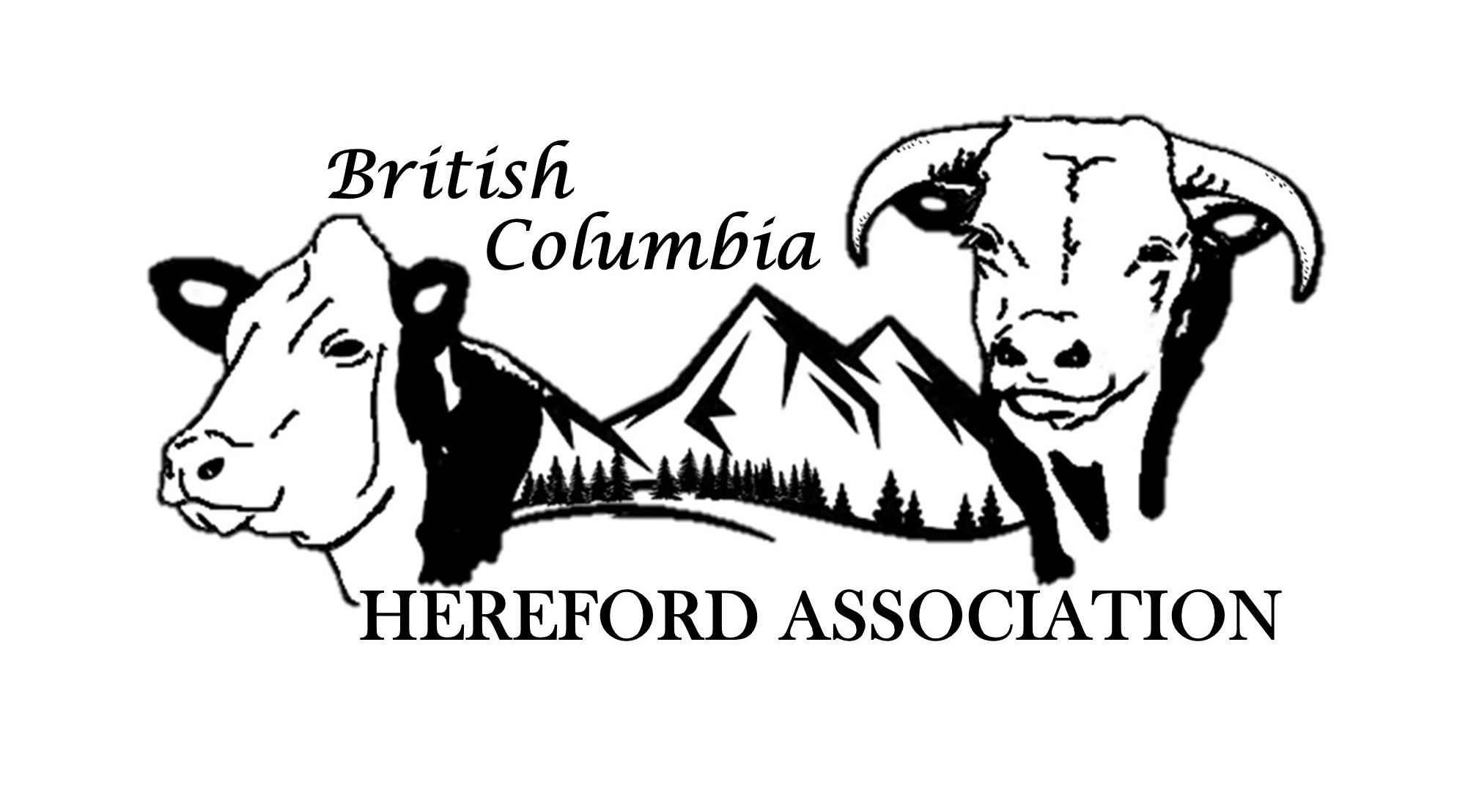 New BC logo Nov 11,2022 